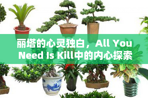 丽塔的心灵独白，All You Need Is Kill中的内心探索之旅