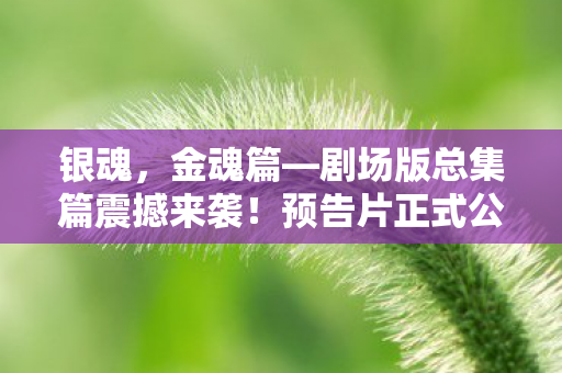 银魂，金魂篇—剧场版总集篇震撼来袭！预告片正式公开，即将上映！