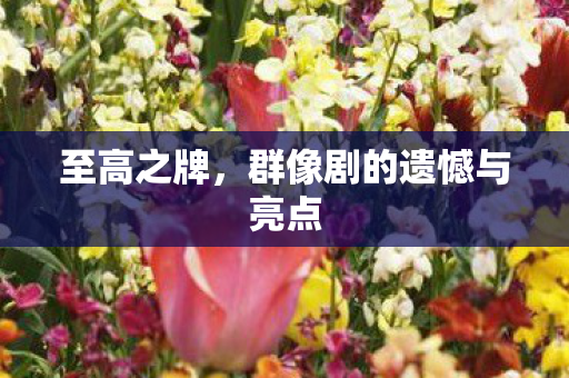 至高之牌，群像剧的遗憾与亮点