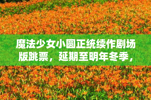 魔法少女小圆正统续作剧场版跳票，延期至明年冬季，粉丝的期待与等待