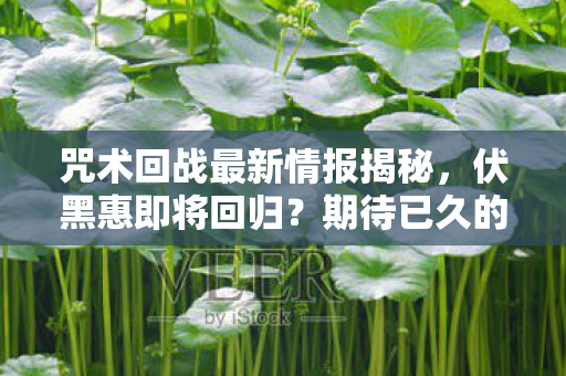 咒术回战最新情报揭秘，伏黑惠即将回归？期待已久的新篇章揭晓！