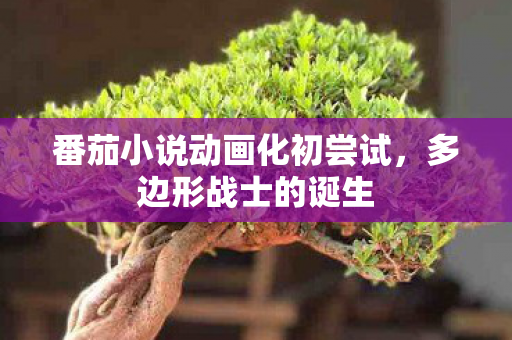 番茄小说动画化初尝试，多边形战士的诞生