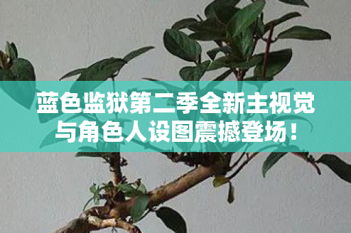 蓝色监狱第二季全新主视觉与角色人设图震撼登场！