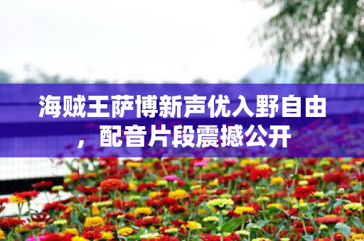 海贼王萨博新声优入野自由，配音片段震撼公开