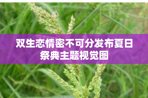 双生恋情密不可分发布夏日祭典主题视觉图