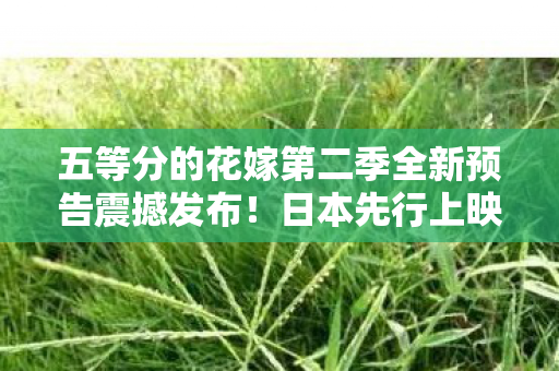 五等分的花嫁第二季全新预告震撼发布！日本先行上映定档9月20日！