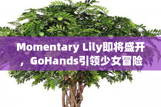 Momentary Lily即将盛开，GoHands引领少女冒险之旅