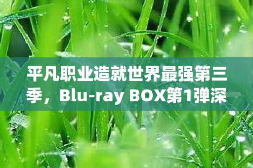 平凡职业造就世界最强第三季，Blu-ray BOX第1弹深度解析