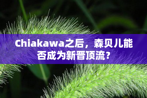 Chiakawa之后，森贝儿能否成为新晋顶流？
