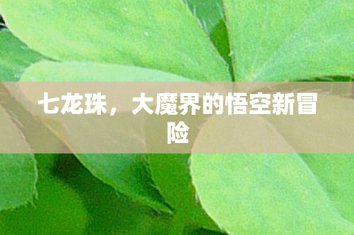 七龙珠，大魔界的悟空新冒险