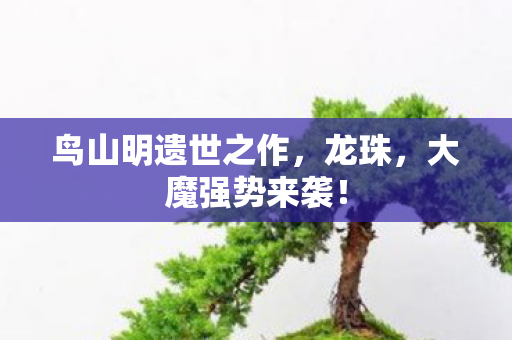 鸟山明遗世之作，龙珠，大魔强势来袭！