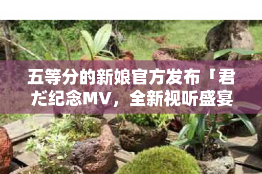 五等分的新娘官方发布「君だ纪念MV，全新视听盛宴呈现