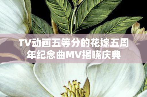 TV动画五等分的花嫁五周年纪念曲MV揭晓庆典