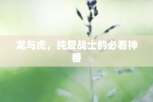 龙与虎，纯爱战士的必看神番
