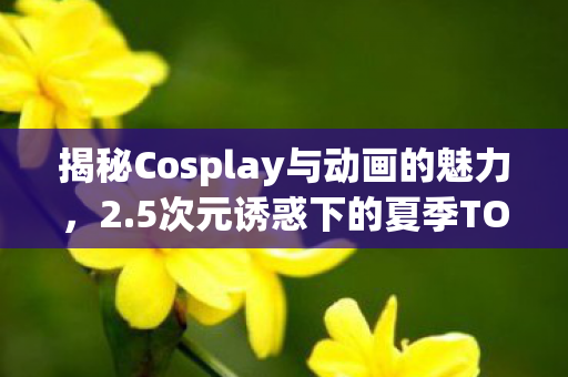 揭秘Cosplay与动画的魅力，2.5次元诱惑下的夏季TOP10动画榜单