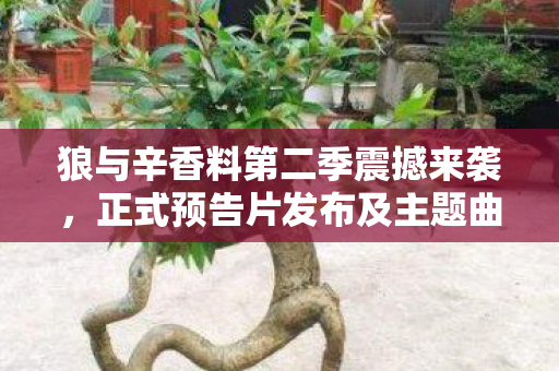 狼与辛香料第二季震撼来袭，正式预告片发布及主题曲歌手揭晓