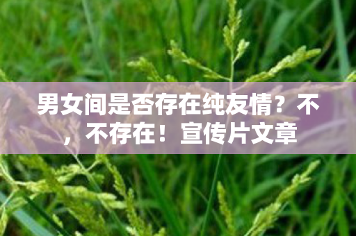 男女间是否存在纯友情？不，不存在！宣传片文章