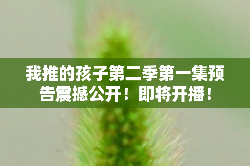 我推的孩子第二季第一集预告震撼公开！即将开播！