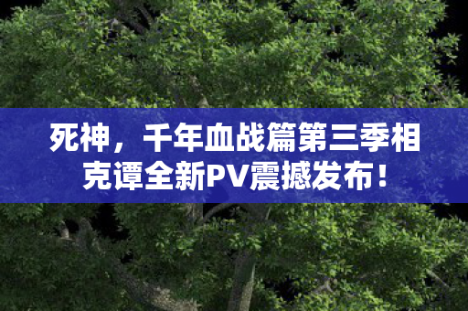 死神，千年血战篇第三季相克谭全新PV震撼发布！