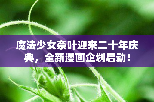 魔法少女奈叶迎来二十年庆典，全新漫画企划启动！