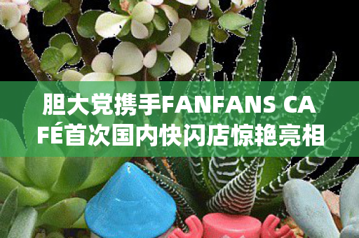 胆大党携手FANFANS CAFÉ首次国内快闪店惊艳亮相