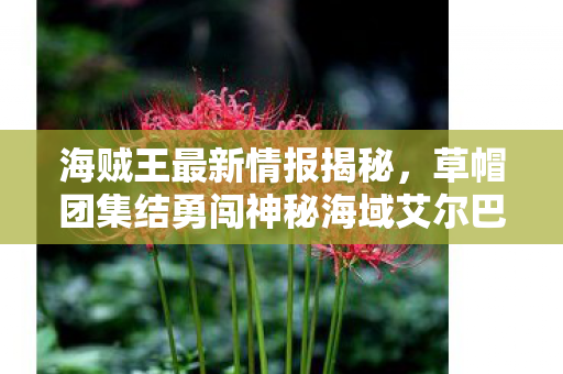 海贼王最新情报揭秘，草帽团集结勇闯神秘海域艾尔巴夫