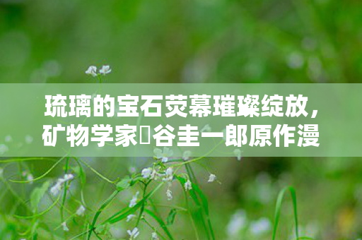 琉璃的宝石荧幕璀璨绽放，矿物学家渋谷圭一郎原作漫画改编纪实