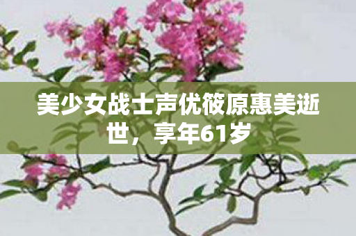 美少女战士声优筱原惠美逝世，享年61岁