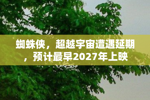蜘蛛侠，超越宇宙遭遇延期，预计最早2027年上映