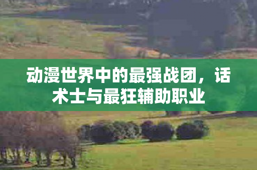 动漫世界中的最强战团，话术士与最狂辅助职业