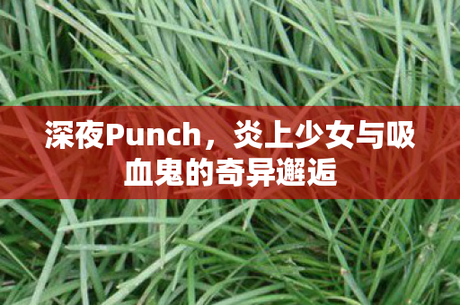 深夜Punch，炎上少女与吸血鬼的奇异邂逅