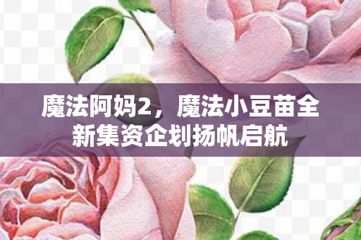 魔法阿妈2，魔法小豆苗全新集资企划扬帆启航
