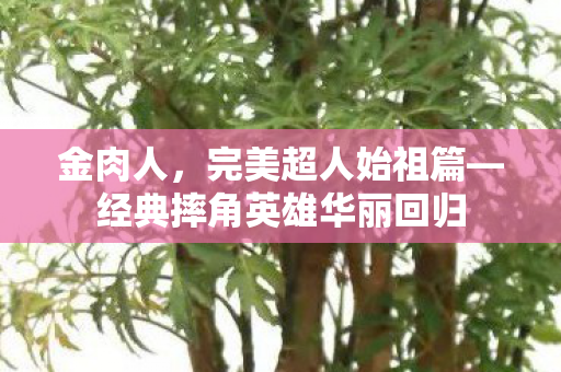 金肉人，完美超人始祖篇—经典摔角英雄华丽回归