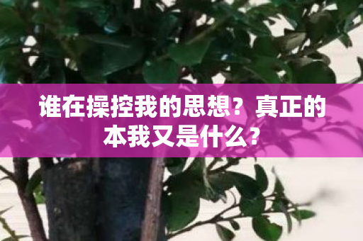 谁在操控我的思想？真正的本我又是什么？