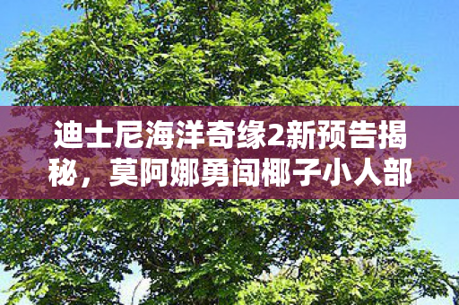 迪士尼海洋奇缘2新预告揭秘，莫阿娜勇闯椰子小人部落