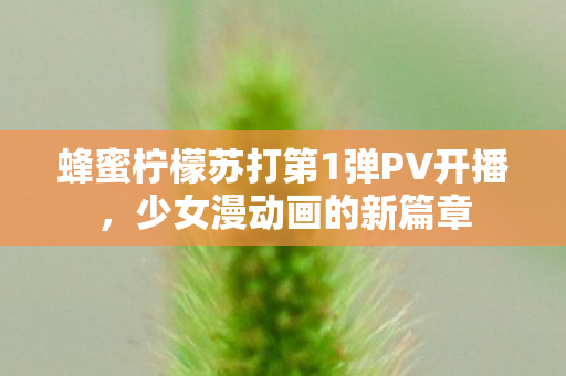 蜂蜜柠檬苏打第1弹PV开播，少女漫动画的新篇章