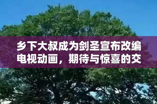 乡下大叔成为剑圣宣布改编电视动画，期待与惊喜的交融