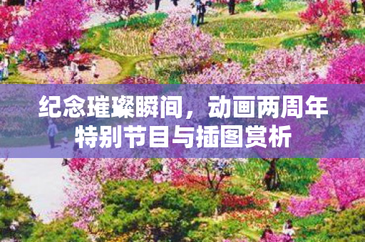 纪念璀璨瞬间，动画两周年特别节目与插图赏析