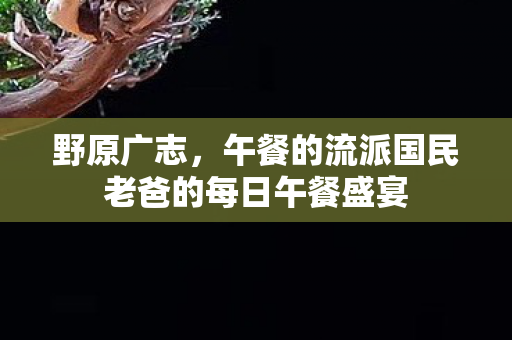 野原广志，午餐的流派国民老爸的每日午餐盛宴