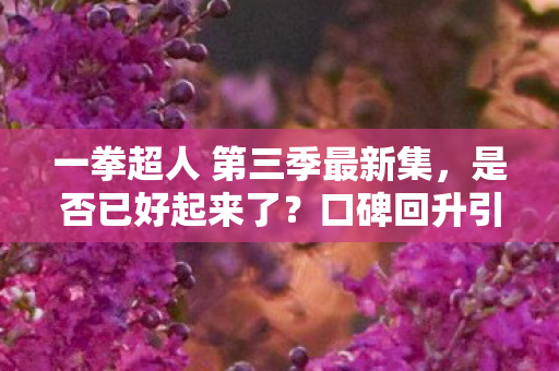 一拳超人 第三季最新集，是否已好起来了？口碑回升引热议！
