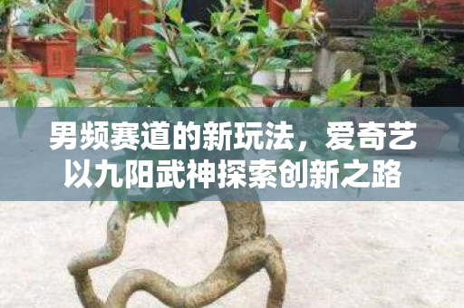 男频赛道的新玩法，爱奇艺以九阳武神探索创新之路