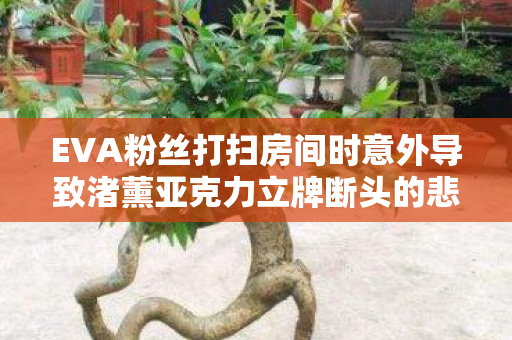 EVA粉丝打扫房间时意外导致渚薰亚克力立牌断头的悲剧