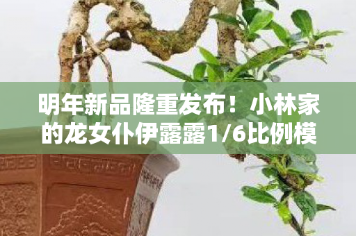 明年新品隆重发布！小林家的龙女仆伊露露1/6比例模型震撼登场