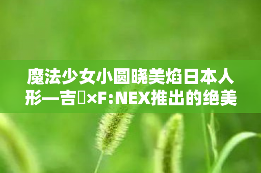 魔法少女小圆晓美焰日本人形—吉徳×F:NEX推出的绝美模型