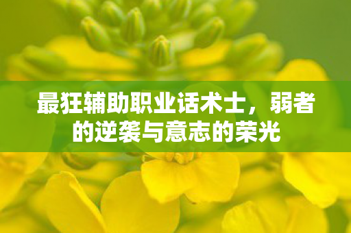 最狂辅助职业话术士，弱者的逆袭与意志的荣光