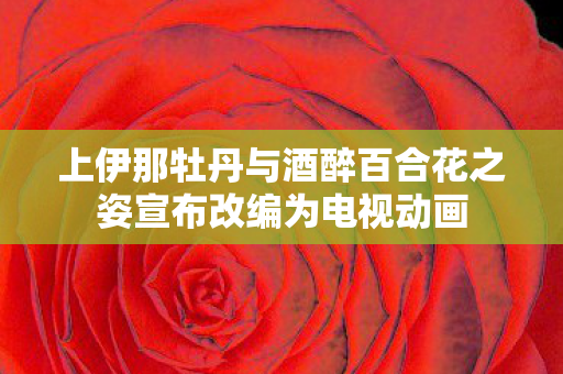 上伊那牡丹与酒醉百合花之姿宣布改编为电视动画