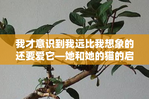 我才意识到我远比我想象的还要爱它—她和她的猫的启示