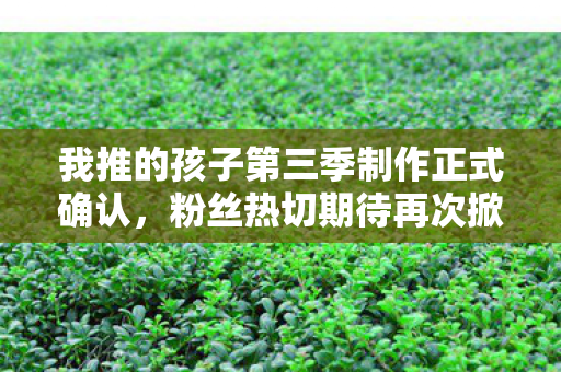 我推的孩子第三季制作正式确认，粉丝热切期待再次掀起热潮