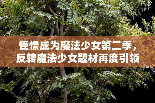 憧憬成为魔法少女第二季，反转魔法少女题材再度引领潮流热潮