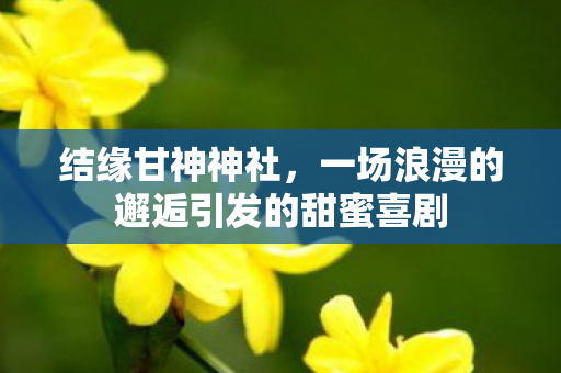 结缘甘神神社，一场浪漫的邂逅引发的甜蜜喜剧